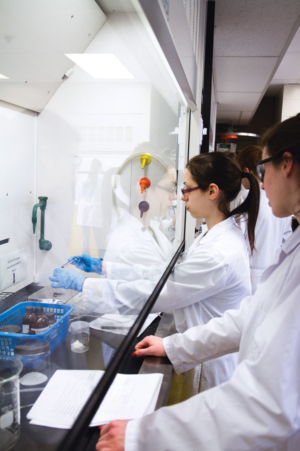 CSTJ_sciences_nature