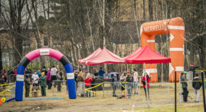course-vikings-h2014